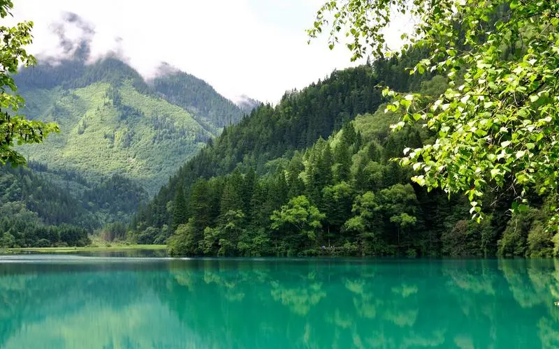 创新科技